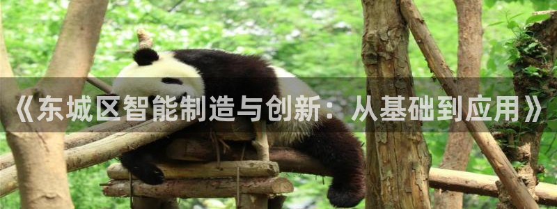 天宏娱乐老板朱俊伟