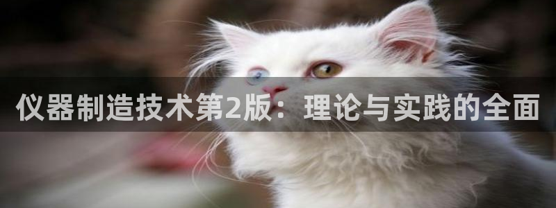 天宏娱乐开业：仪器制造技术第2版：理论与实践的全面