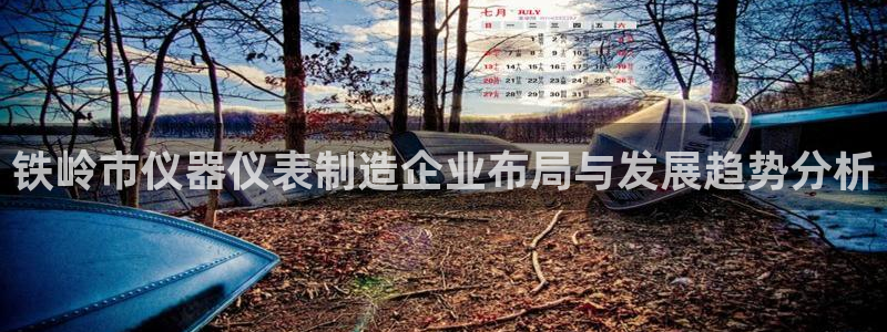 天宏娱乐q34189：铁岭市仪器仪表制造企业布局与发展趋势分