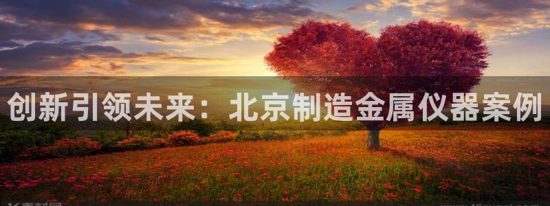 天宏娱乐股东：创新引领未来：北京制造金属仪器案例