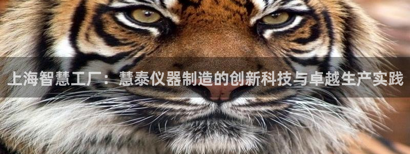 天宏娱乐直播间：上海智慧工厂：慧泰仪器制造的创新科技与卓越生