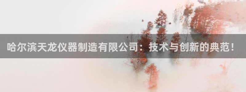 天宏娱乐王叔：哈尔滨天龙仪器制造有限公司：技术与创新的典范！