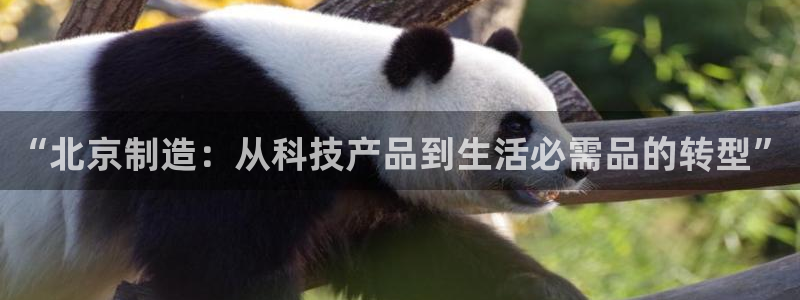 天宏娱乐会所电话地址：“北京制造：从科技产品到生活必需品的转