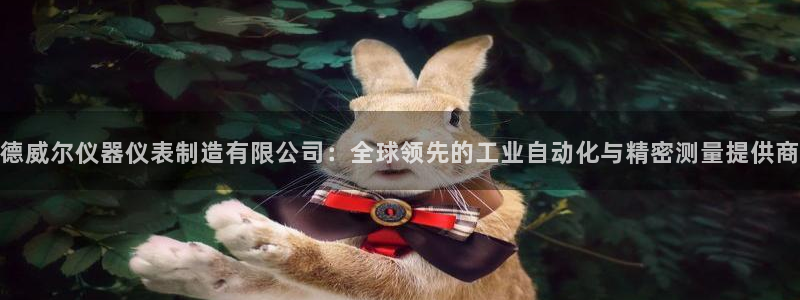 天宏娱乐总店：德威尔仪器仪表制造有限公司：全球领先的工业自动