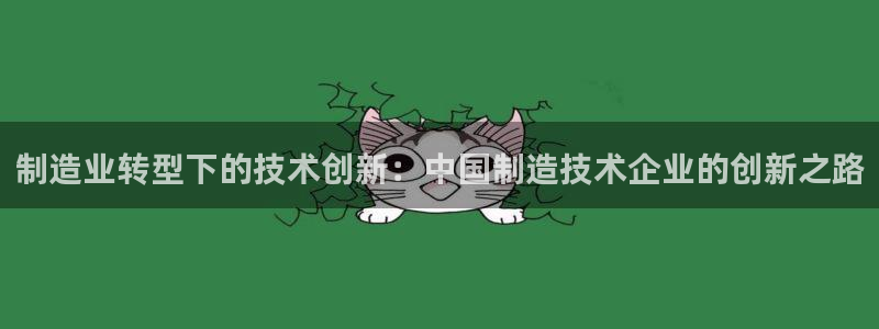 天宏娱乐2主管：制造业转型下的技术创新：中国制造技术企业的创