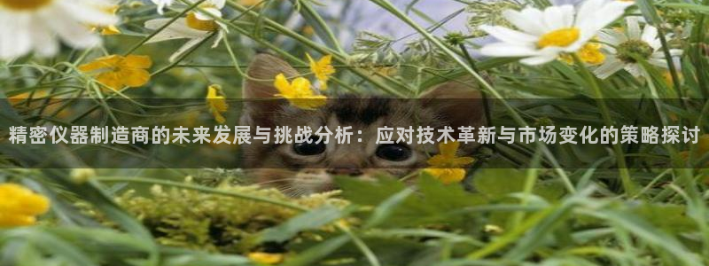天宏娱乐首页：精密仪器制造商的未来发展与挑战分析：应对技术革