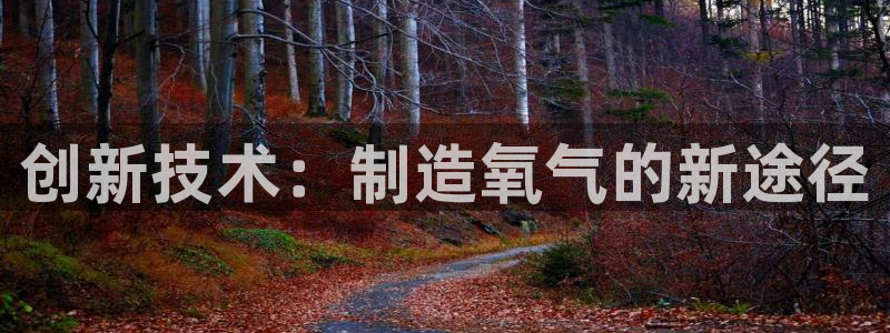 天宏娱乐金叔：创新技术：制造氧气的新途径