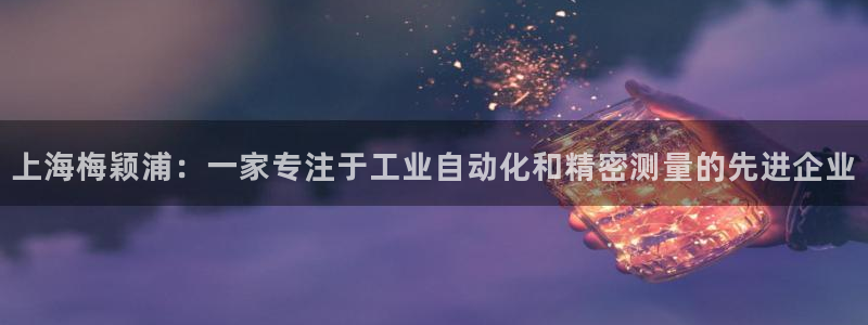 天宏娱乐注册：上海梅颖浦：一家专注于工业自动化和精密测量的先