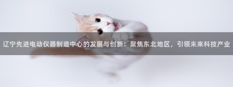 天宏娱乐登陆：辽宁先进电动仪器制造中心的发展与创新：聚焦东北