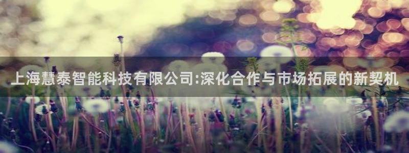 天宏娱乐有限公司：上海慧泰智能科技有限公司:深化合作与市场拓
