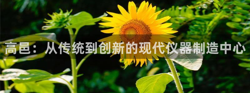 天宏娱乐团购活动时间：高邑：从传统到创新的现代仪器制造中心