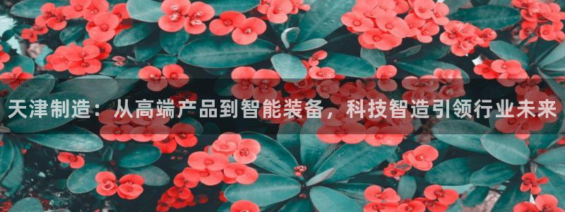天宏娱乐涛叔：天津制造：从高端产品到智能装备，科技智造引领行