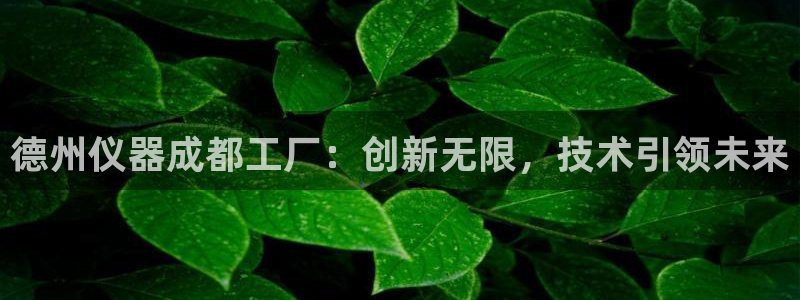 天宏娱乐 22376实e力：德州仪器成都工厂：创新无限，技术