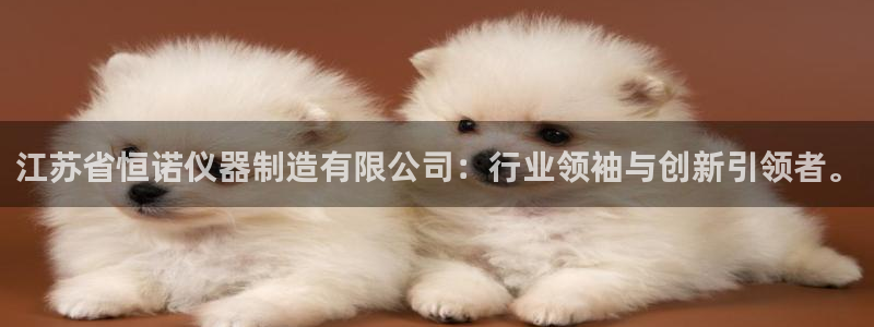 天宏娱乐晨叔：江苏省恒诺仪器制造有限公司：行业领袖与创新引领