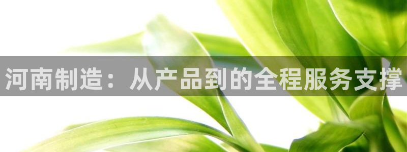 天宏娱乐直播团队名单：河南制造：从产品到的全程服务支撑