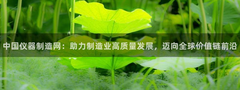 天宏娱乐集团创始人：中国仪器制造网：助力制造业高质量发展，迈