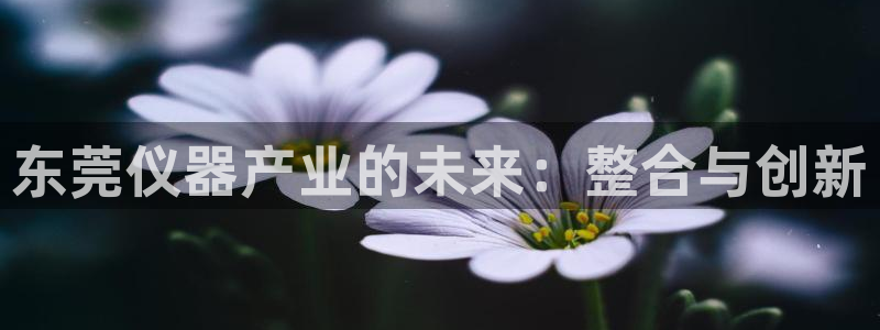 天宏娱乐是正规的吗：东莞仪器产业的未来：整合与创新