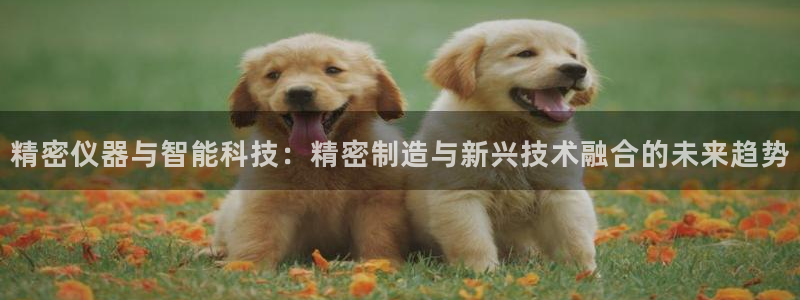 天宏娱乐河源店招聘：精密仪器与智能科技：精密制造与新兴技术融