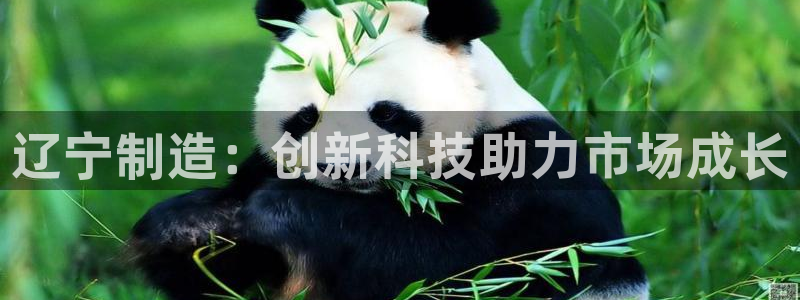天宏娱乐涛叔：辽宁制造：创新科技助力市场成长