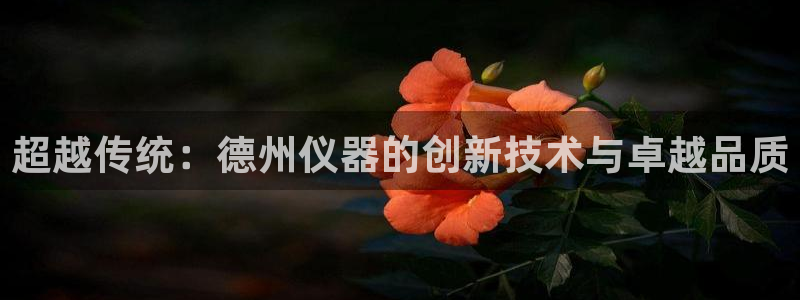天宏娱乐曳59909：超越传统：德州仪器的创新技术与卓越品质