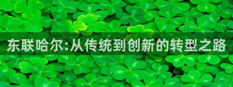 天宏娱乐直播团队名单：东联哈尔:从传统到创新的转型之路