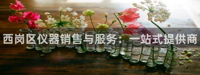 天宏娱乐满意hfqjwl下拉：西岗区仪器销售与服务：一站式提