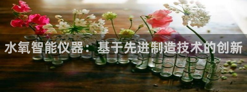 天宏娱乐大叔团队介绍：水氧智能仪器：基于先进制造技术的创新