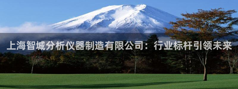 东莞天宏娱乐：上海智城分析仪器制造有限公司：行业标杆引领未来