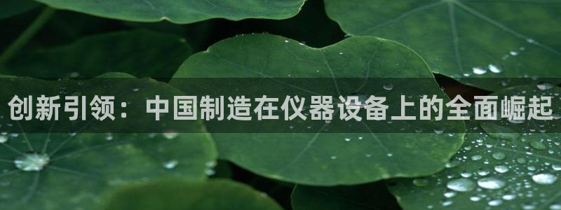 河源天宏娱乐店：创新引领：中国制造在仪器设备上的全面崛起