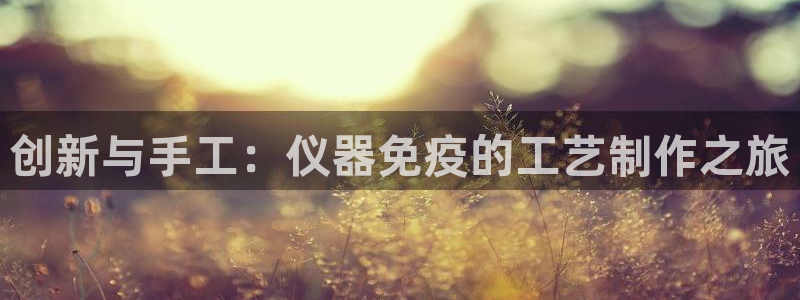 宏天娱乐俱乐部：创新与手工：仪器免疫的工艺制作之旅