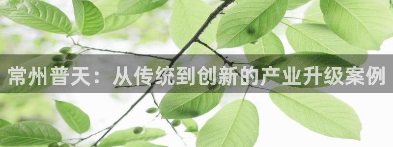 天宏娱乐丁叔：常州普天：从传统到创新的产业升级案例