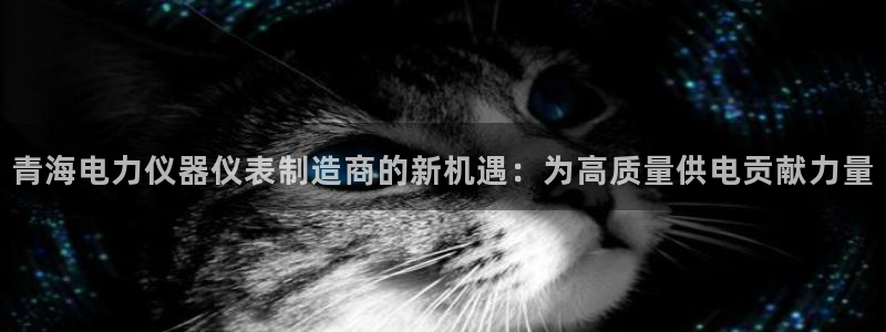 天宏娱乐小刘：青海电力仪器仪表制造商的新机遇：为高质量供电贡