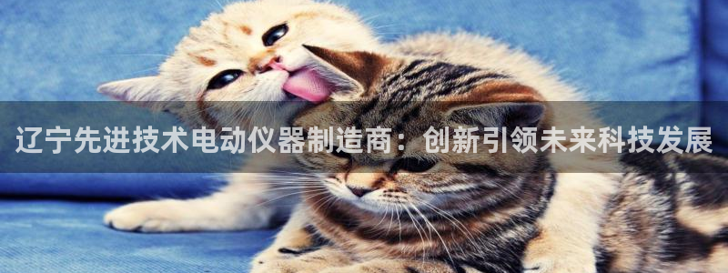 天宏娱乐徐叔：辽宁先进技术电动仪器制造商：创新引领未来科技发