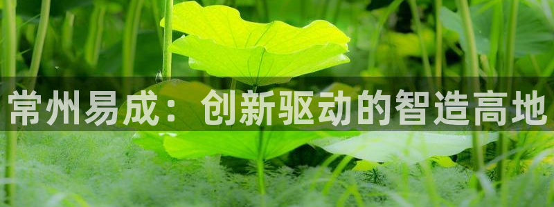 天宏娱乐直播团队介绍：常州易成：创新驱动的智造高地