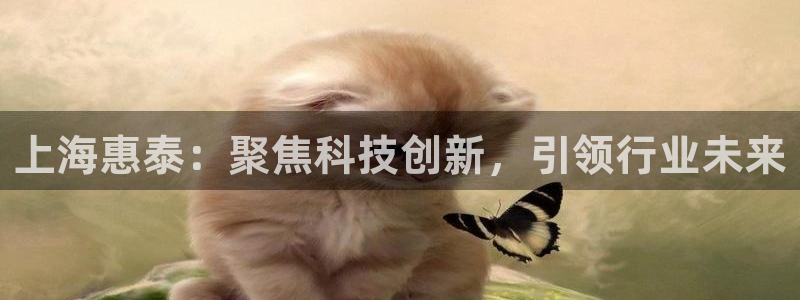 天宏娱乐直播直播间：上海惠泰：聚焦科技创新，引领行业未来