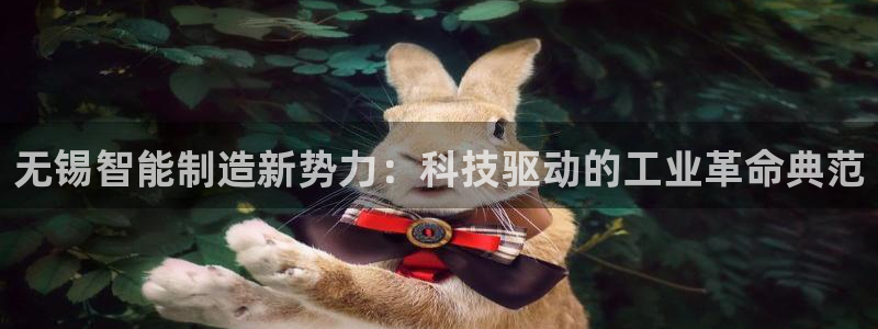 天鲸正宏娱乐是什么：无锡智能制造新势力：科技驱动的工业革命典