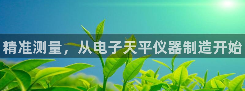 广州宏创天美娱乐文化：精准测量，从电子天平仪器制造开始