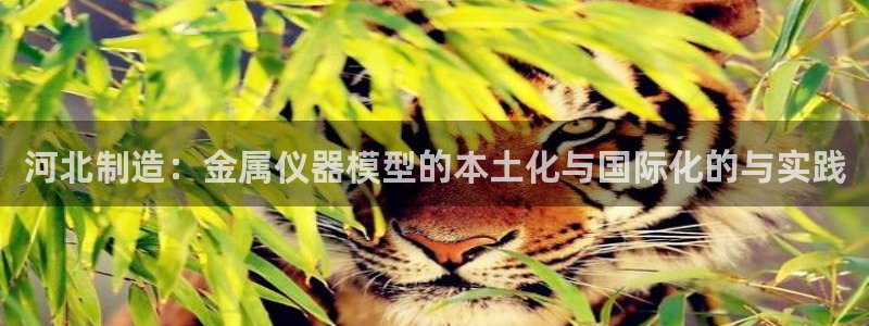 天宏娱乐直播：河北制造：金属仪器模型的本土化与国际化的与实践