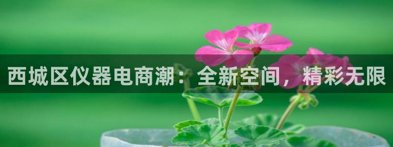 天宏娱乐直播间官网：西城区仪器电商潮：全新空间，精彩无限