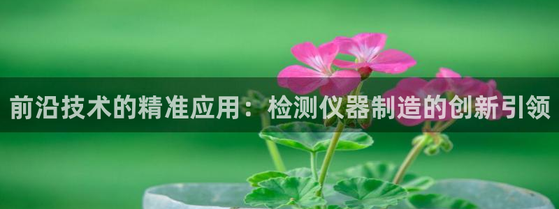 天宏娱乐q34189：前沿技术的精准应用：检测仪器制造的创新