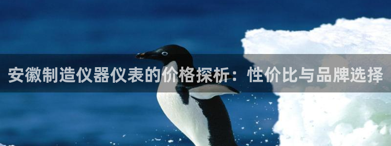 天宏娱乐大叔团队介绍视频：安徽制造仪器仪表的价格探析：性价比