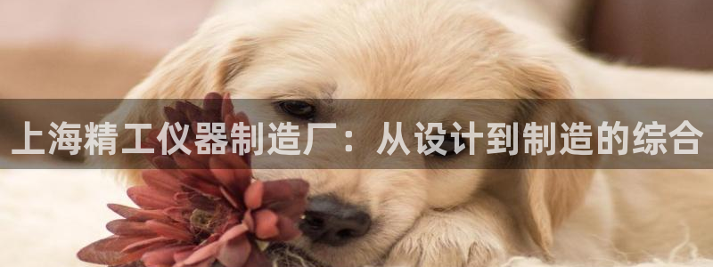 天宏娱乐 直播间在哪：上海精工仪器制造厂：从设计到制造的综合