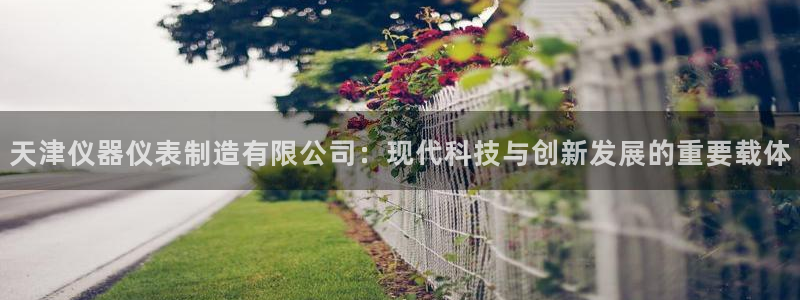 天宏娱乐中意hfqjwl下拉：天津仪器仪表制造有限公司：现代