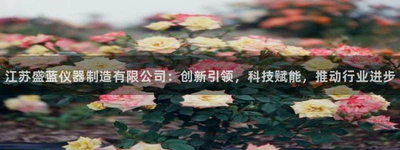天宏娱乐李剑：江苏盛蓝仪器制造有限公司：创新引领，科技赋能，