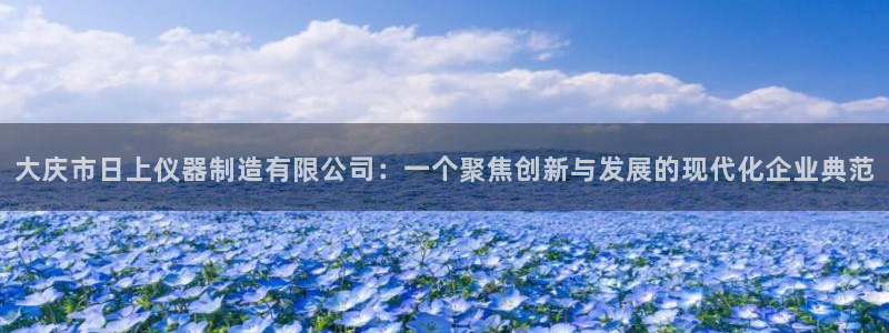 天宏娱乐网站彩票：大庆市日上仪器制造有限公司：一个聚焦创新与