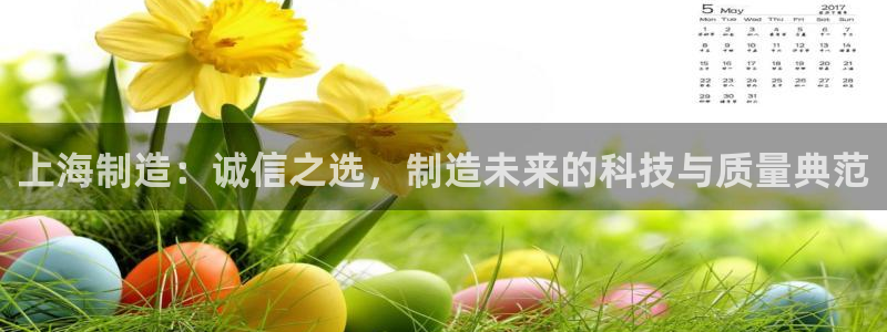 天宏娱乐指尖会：上海制造：诚信之选，制造未来的科技与质量典范