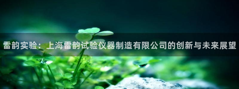 天宏娱乐场所：雷韵实验：上海雷韵试验仪器制造有限公司的创新与