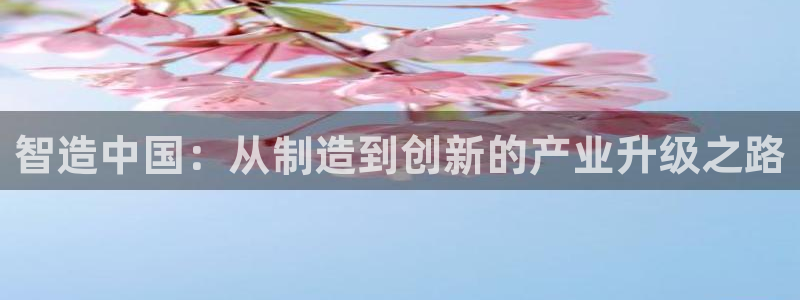 天宏娱乐刘叔：智造中国：从制造到创新的产业升级之路