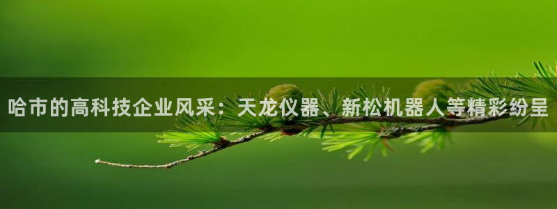 天宏娱乐下载：哈市的高科技企业风采：天龙仪器、新松机器人等精